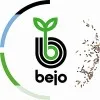 Bejo zaden