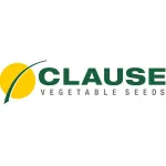 Clause