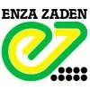 Enza Zaden