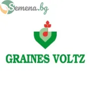 Graines Voltz