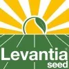 Levantia seeds