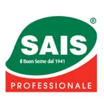 Sais Sementi