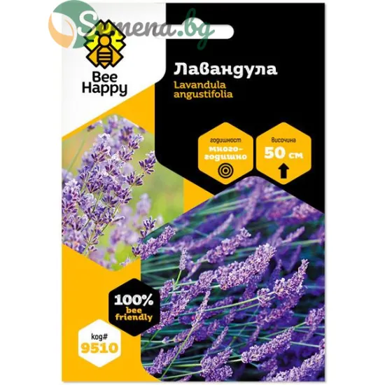Лавандула