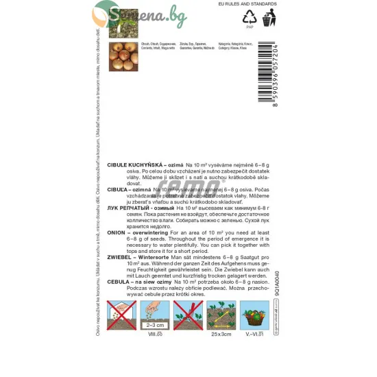 Лук Winteria 2.5 гр- студоустойчив