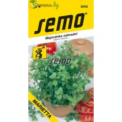 Майорана градинска ‘Marietta’ (Origanum majorana) – интензивен аромат и висока продуктивност 0,4 гр