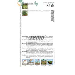 Майорана градинска ‘Marietta’ (Origanum majorana) – интензивен аромат и висока продуктивност 0,4 гр