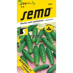 Корнишони Бохемия F1 2 гр.