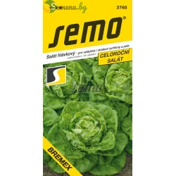 САЛАТА BREMEX – висока продуктивност и устойчивост