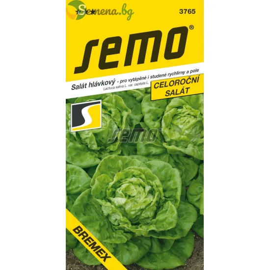САЛАТА BREMEX – висока продуктивност и устойчивост