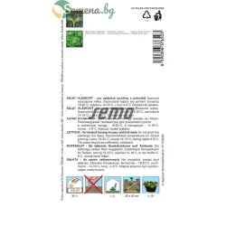 САЛАТА BREMEX – висока продуктивност и устойчивост