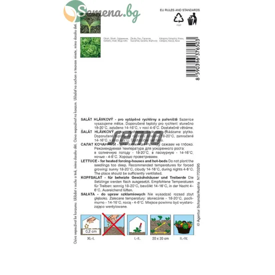 САЛАТА BREMEX – висока продуктивност и устойчивост