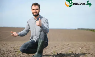 Как да пазим почвите -  важни съвети при торене и сеитба