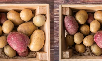 Най-вкусните сортове картофи, и как да изберем най-доброто за вашата маса