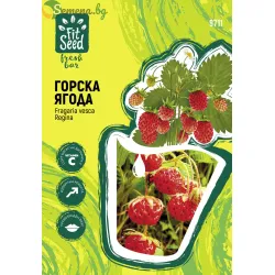 Горска ягода семена